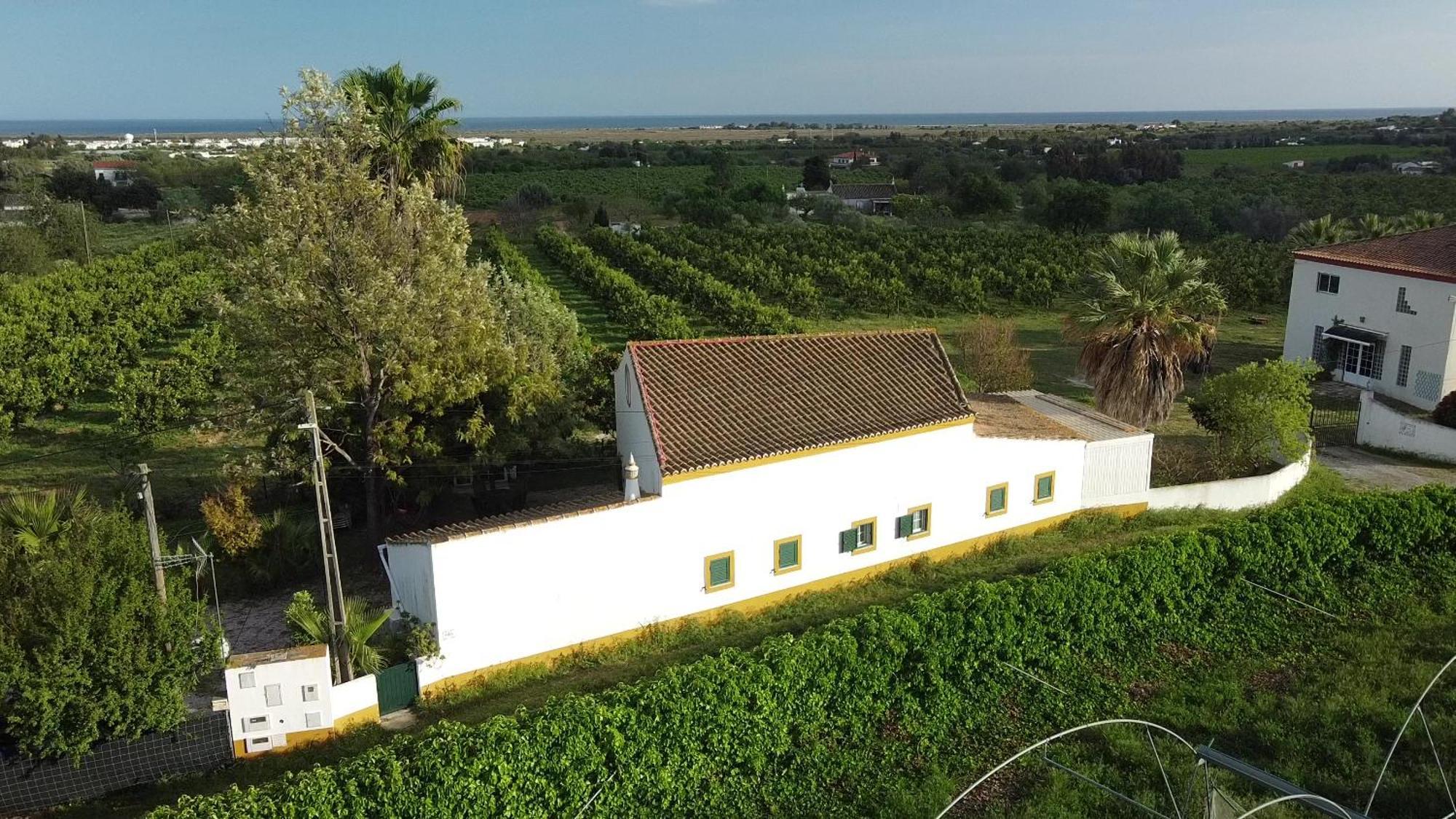 Quinta Rosa Branca Hotel Tavira Ngoại thất bức ảnh